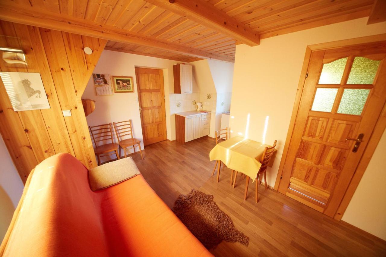 Apartamento Siklawa Zakopane Habitación foto